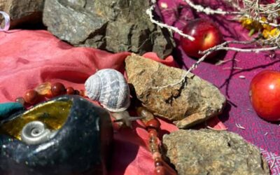 A Solstice Surprise – The Healing Power of Community Singing